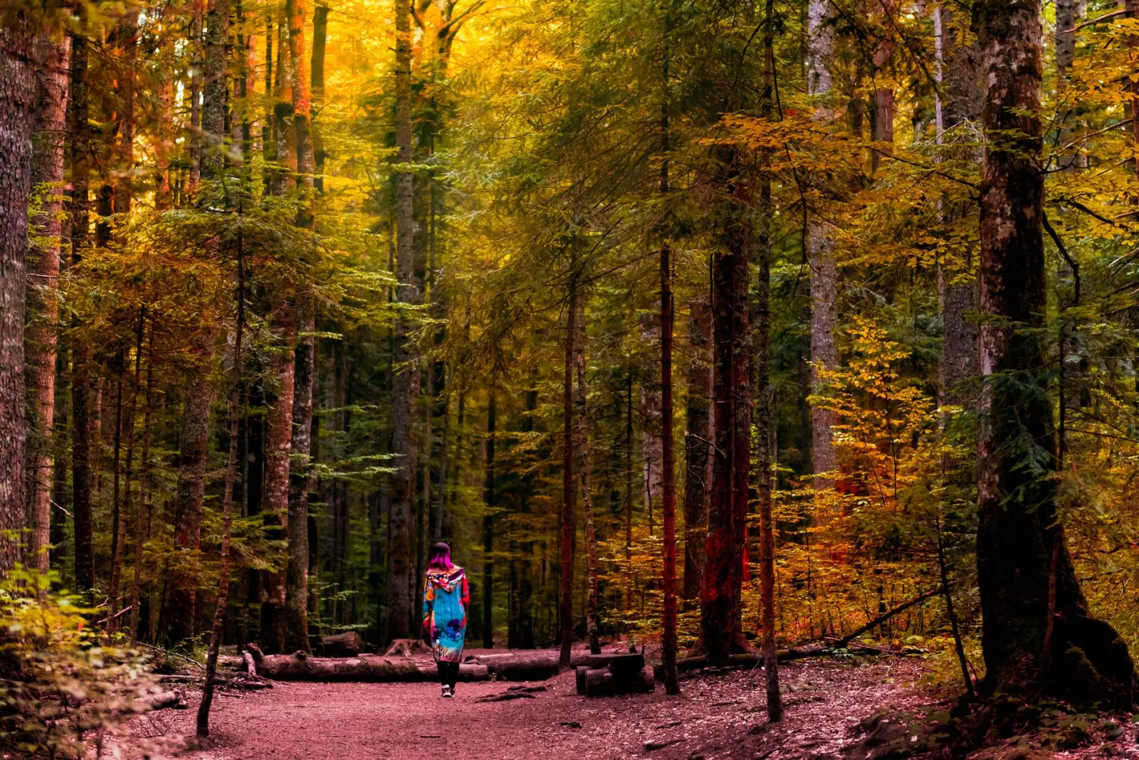 Oser la couleur : Les teintes qui te feront briller cet automne.