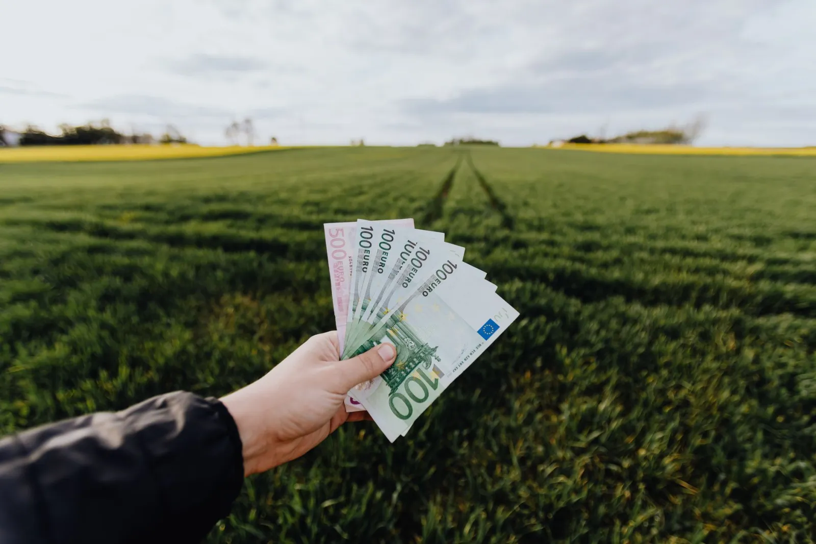 Le rôle du crowdfunding et du crowdlending pour les PME