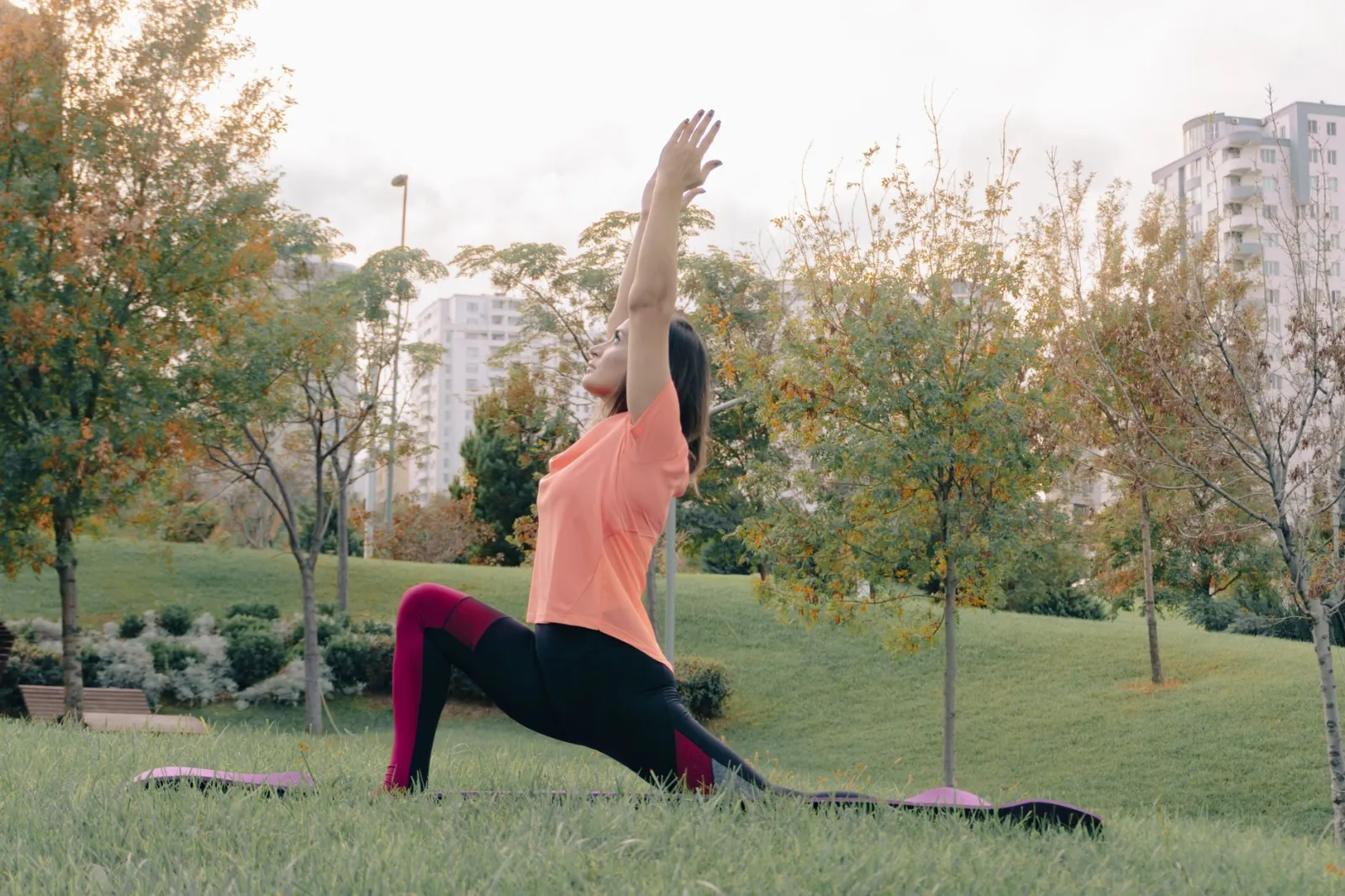 Prévenir les maux de dos : exercices doux et postures clés au bureau