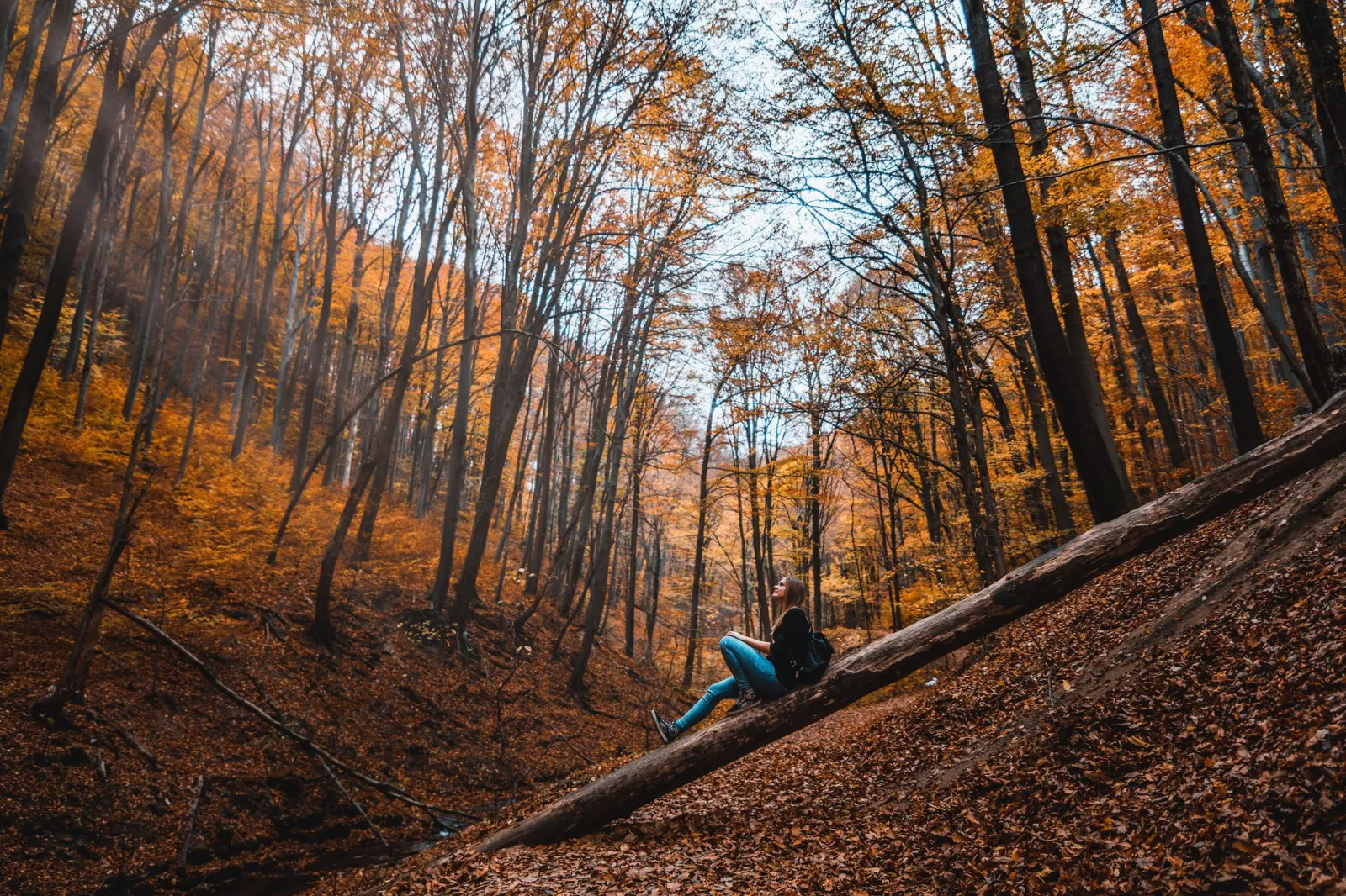Les bienfaits de la nature sur le bien-être psychologique : échappées vertes