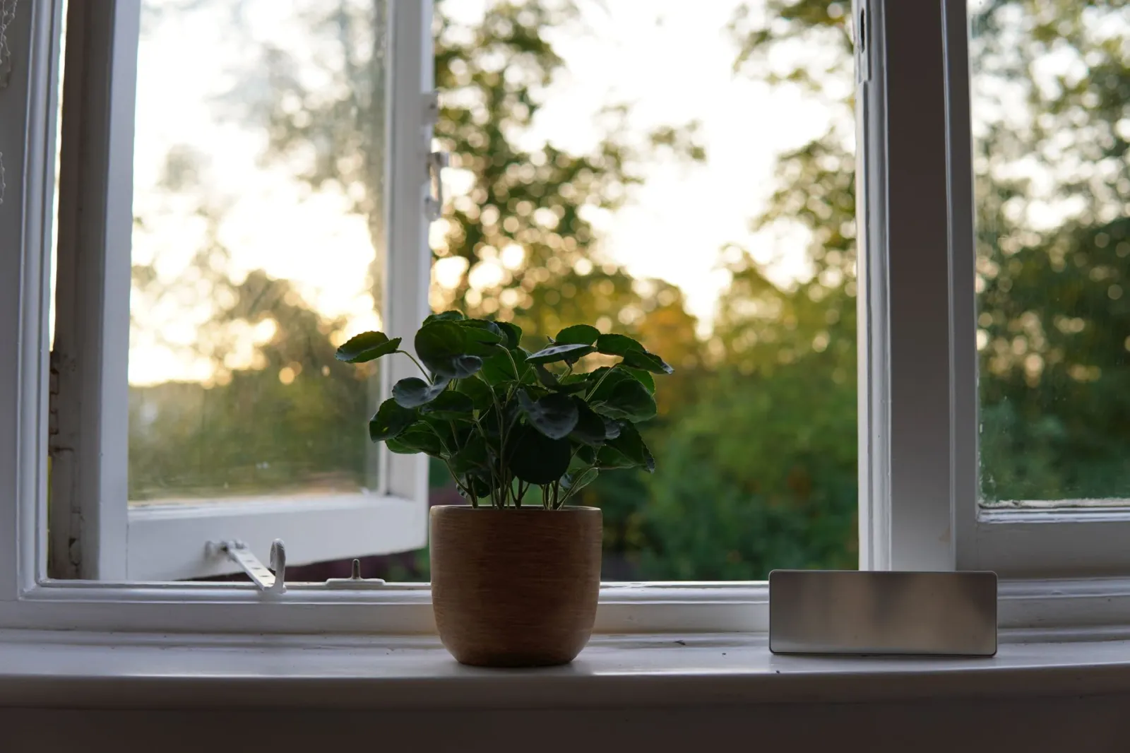 Réduire sa consommation d'énergie à la maison : 10 gestes simples