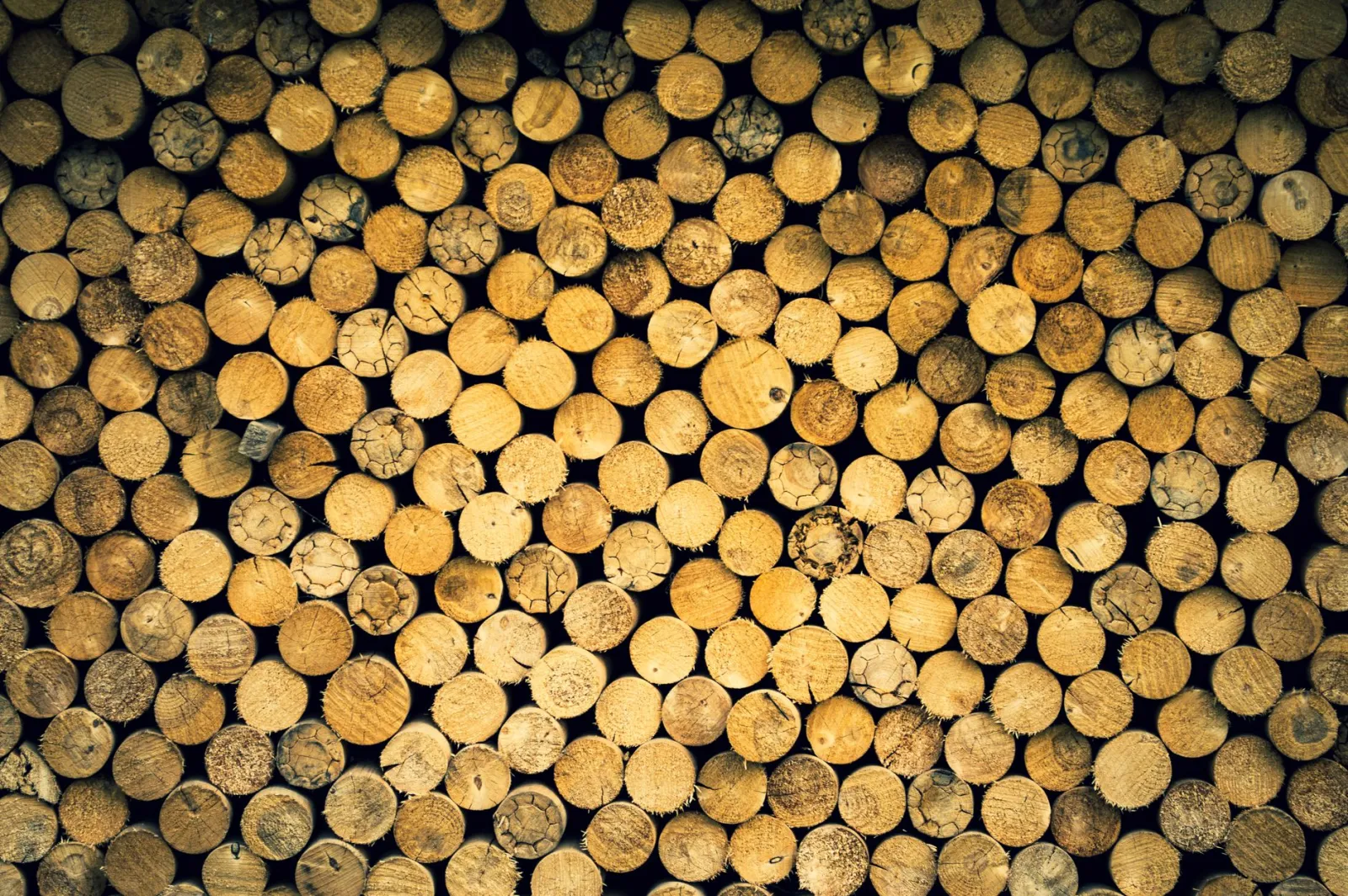 Matériaux écologiques pour la construction : un guide complet