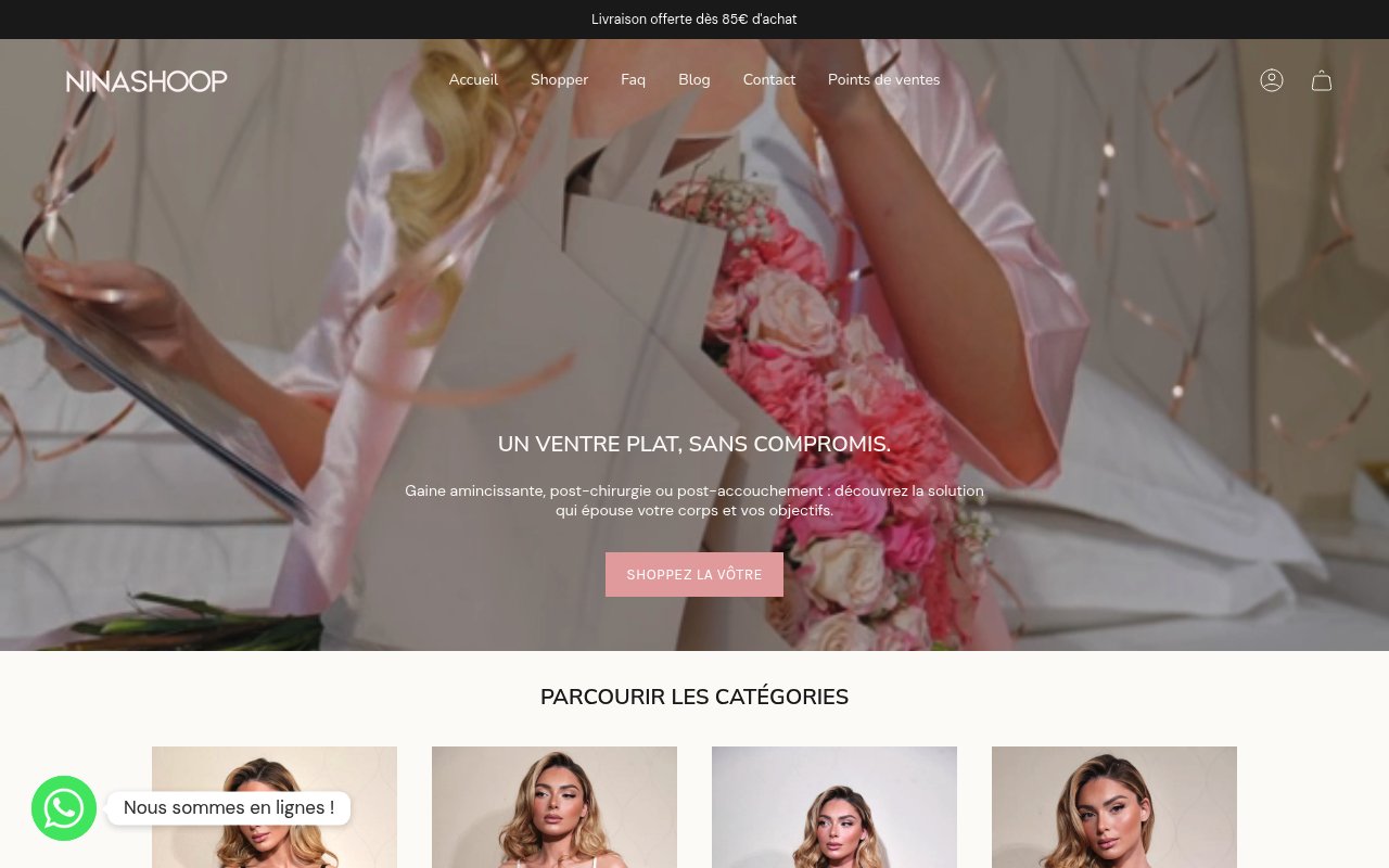Apercu du site Nina Shoop