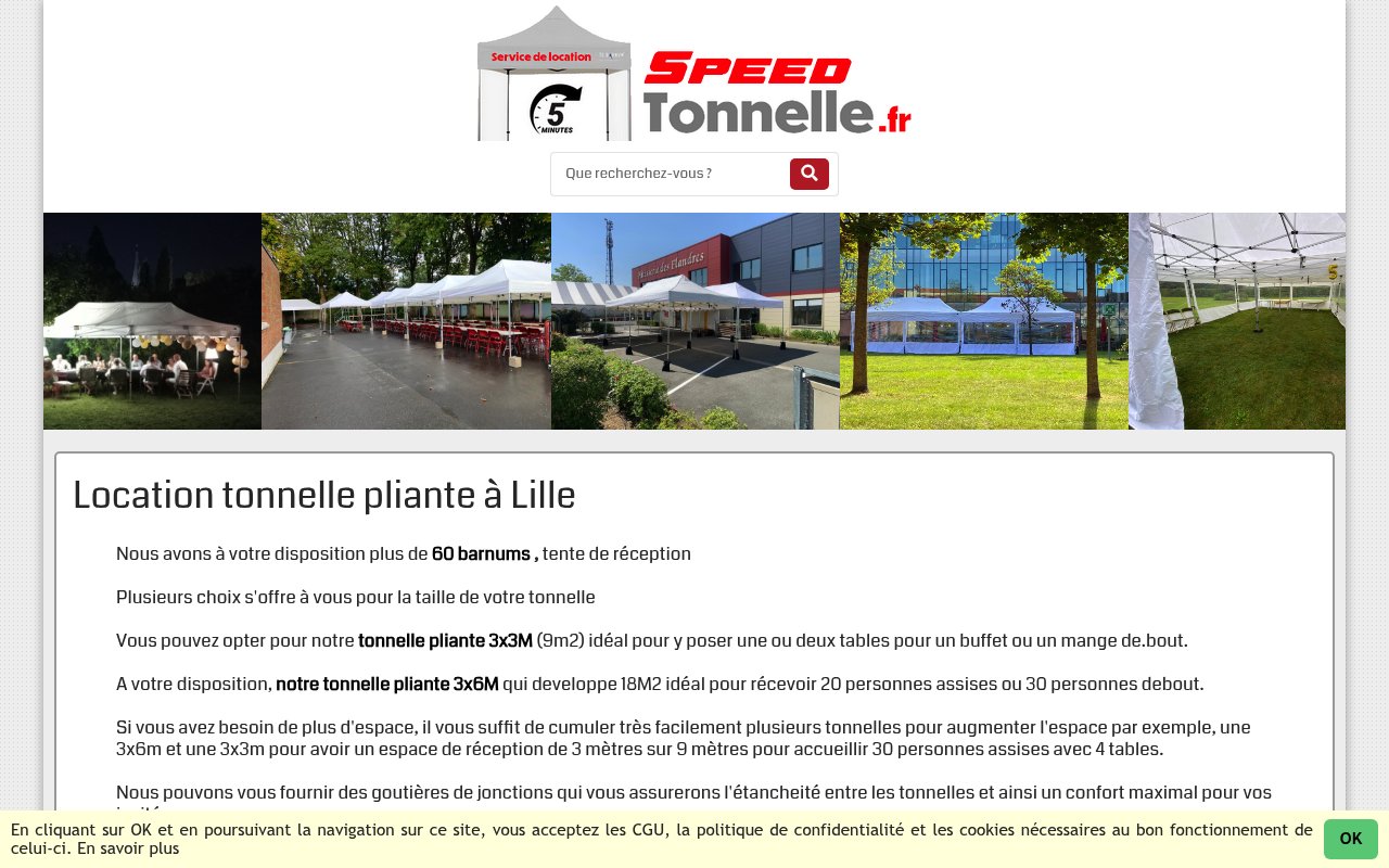 Apercu du site Speed Tonnelle