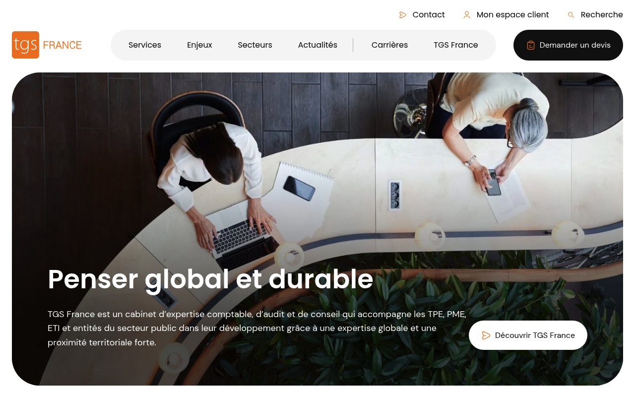 Apercu du site TGS France