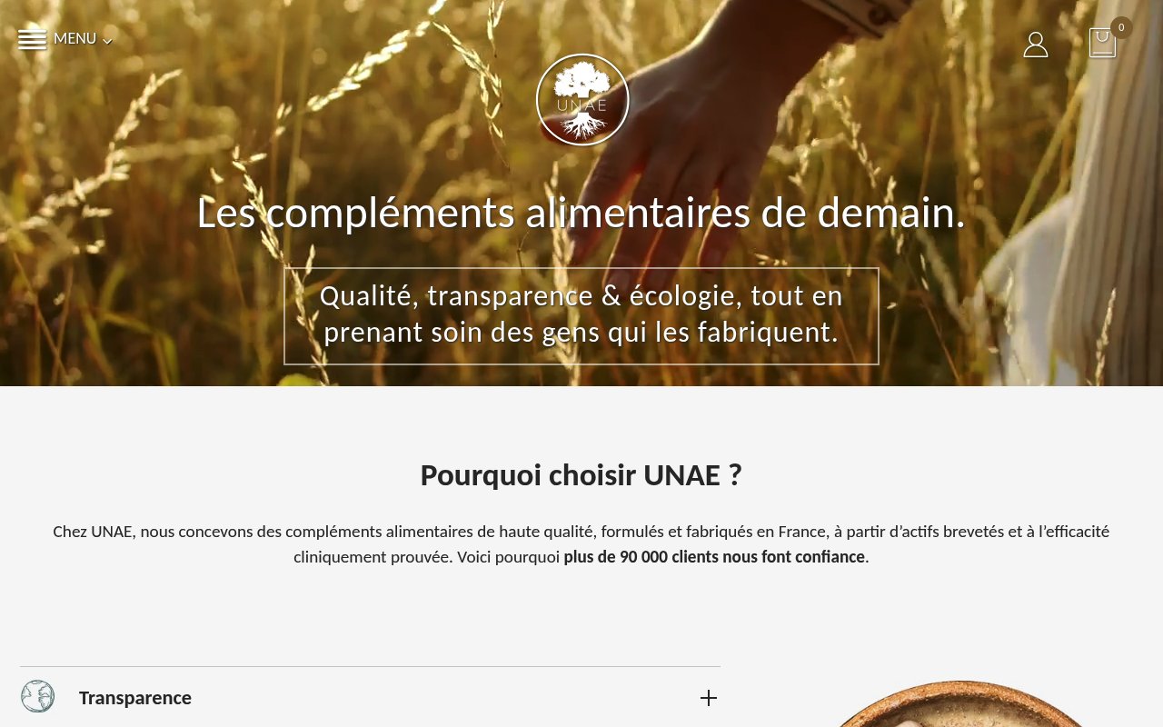 Apercu du site UNAE
