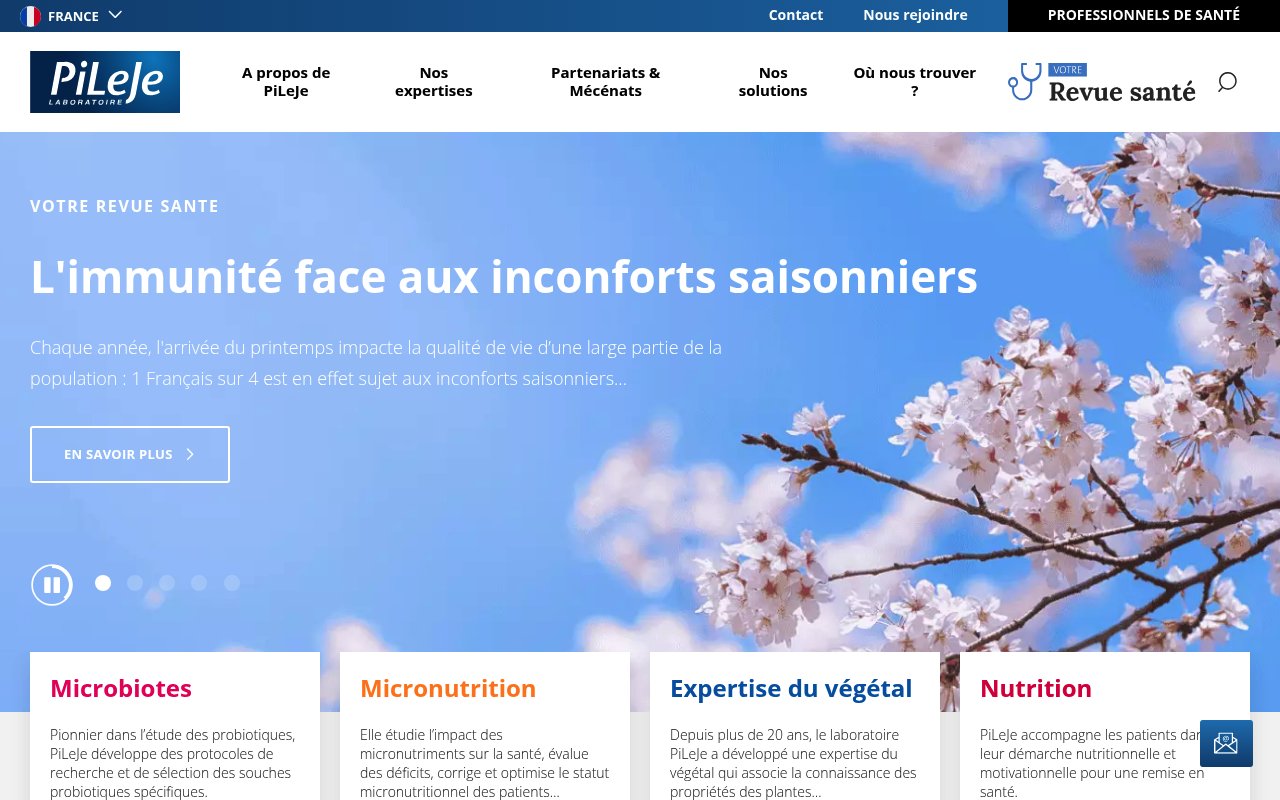 Apercu du site PiLeJe