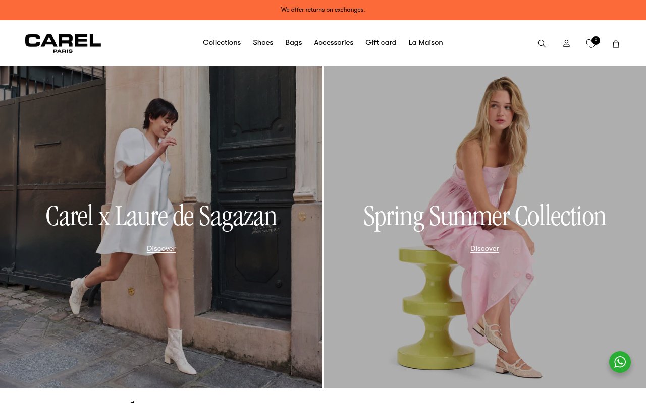 Apercu du site Carel