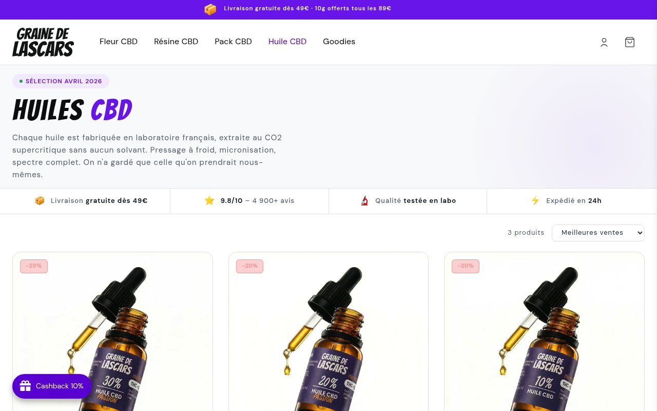 Apercu du site Graine de Lascars