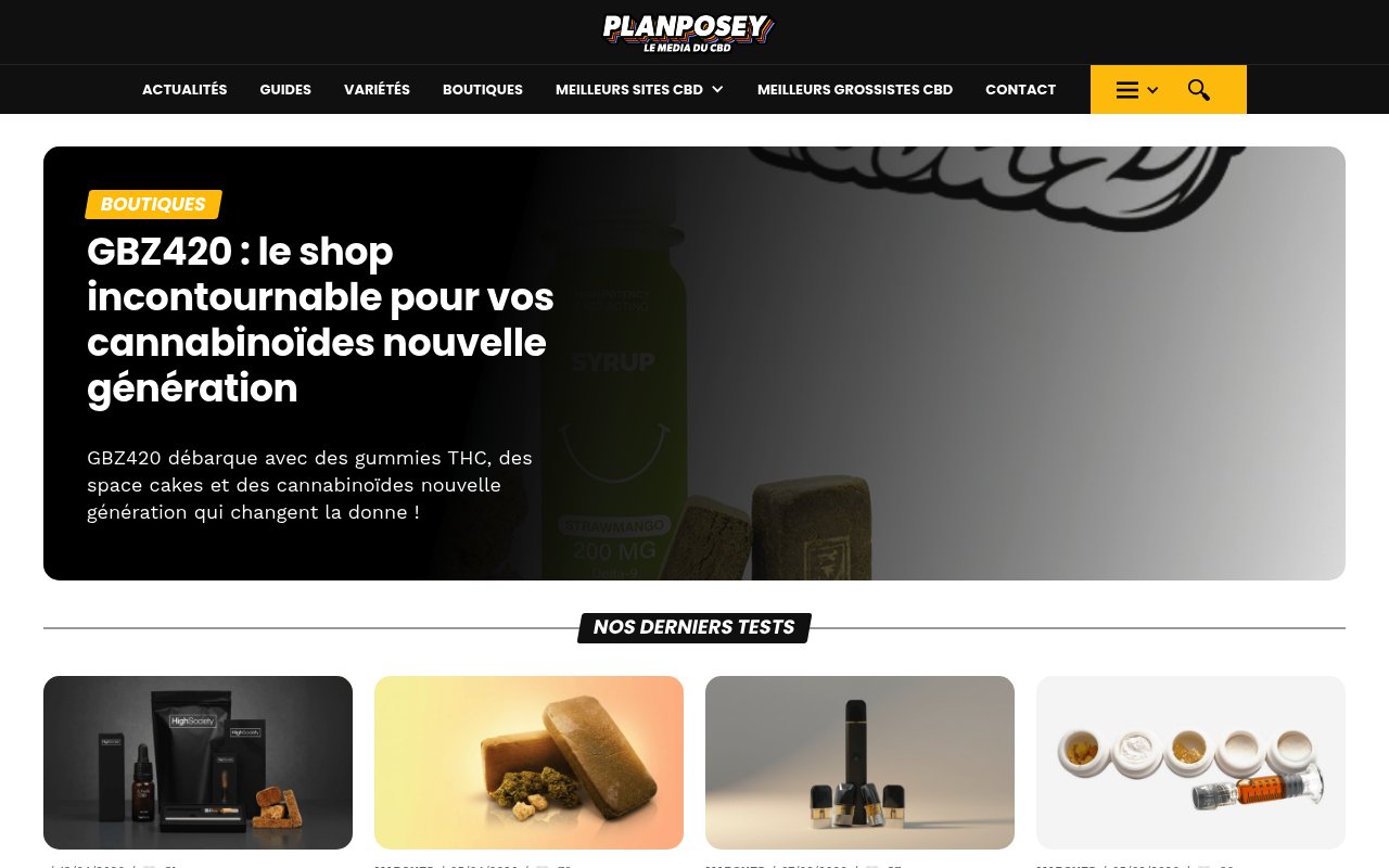 Apercu du site Planposey