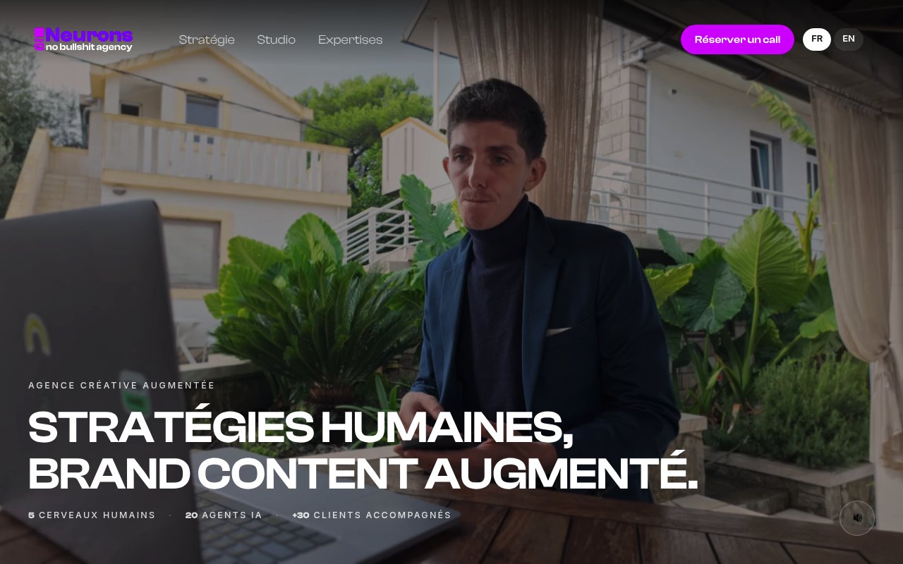 Apercu du site Big Neurons