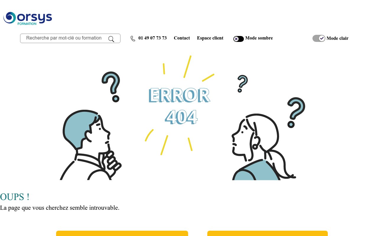 Apercu du site Orsys