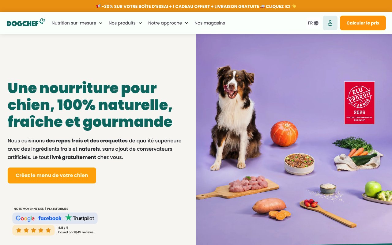 Apercu du site Dog Chef
