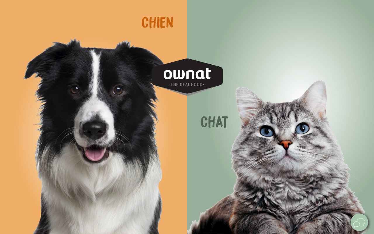 Apercu du site Ownat France