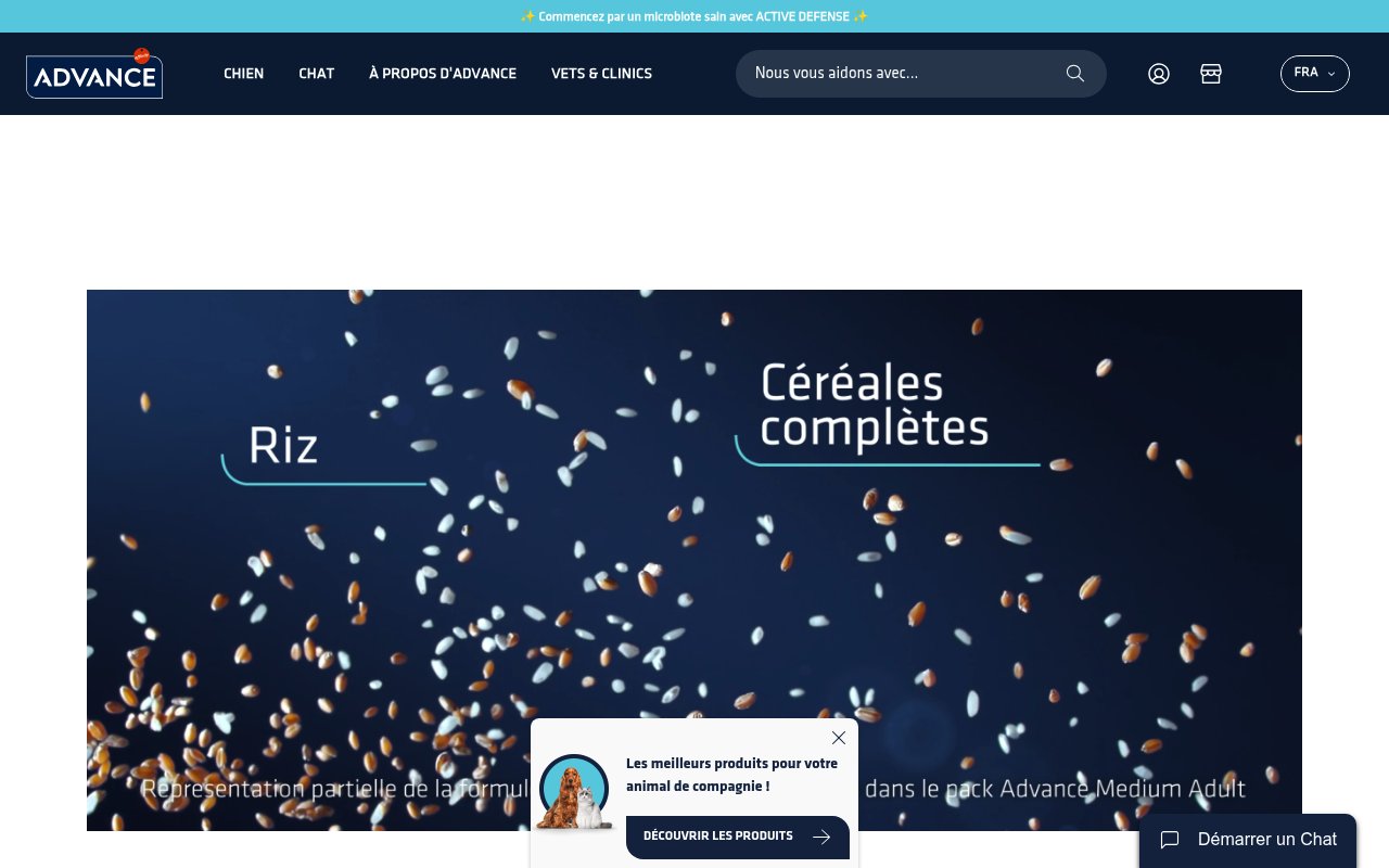 Apercu du site Advance France