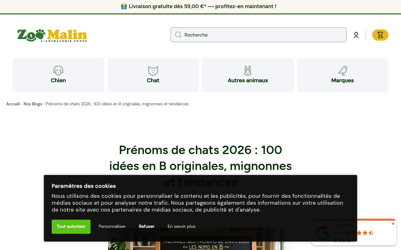 Apercu du site Zoomalin