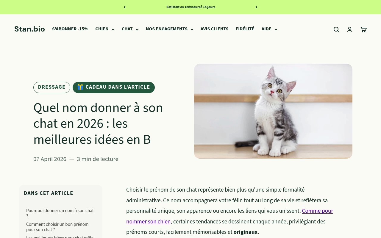 Apercu du site Stan.bio