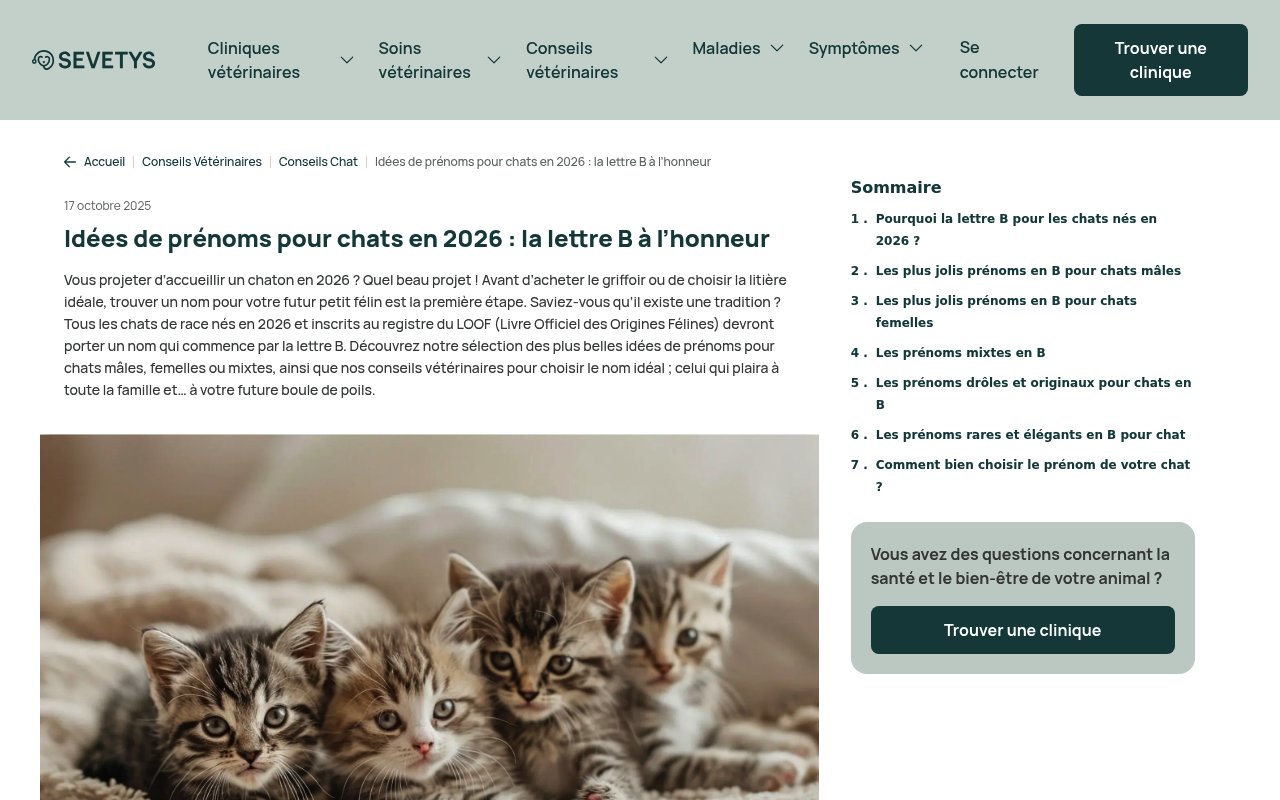 Apercu du site Sevetys