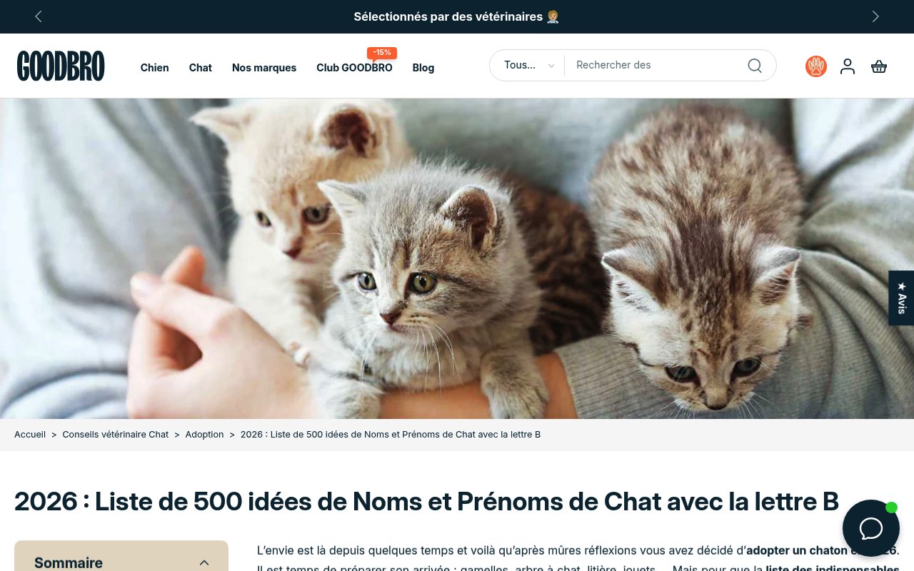 Apercu du site Goodbro