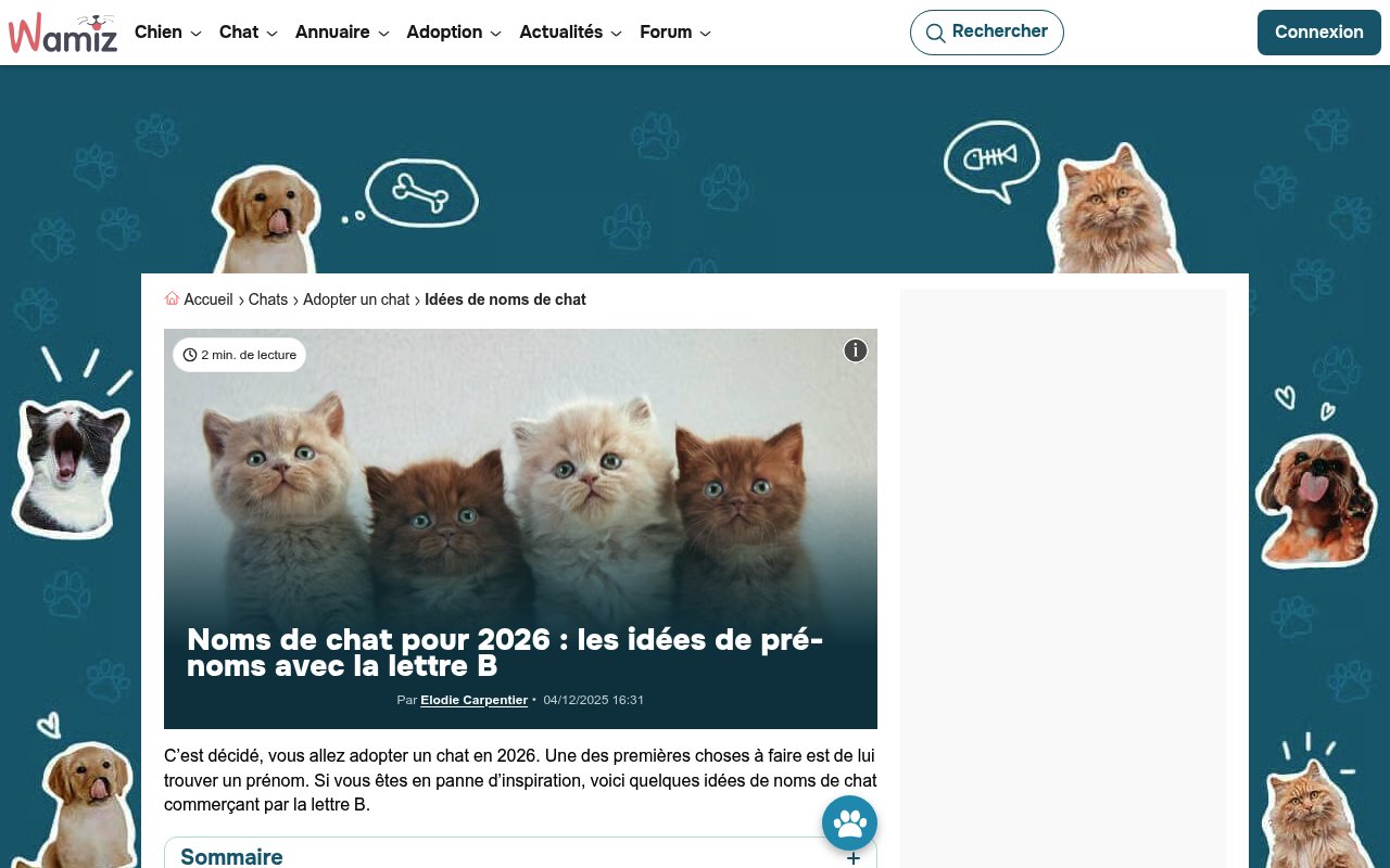 Apercu du site Wamiz
