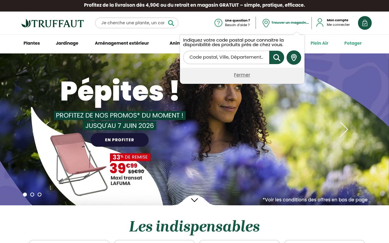 Apercu du site Truffaut