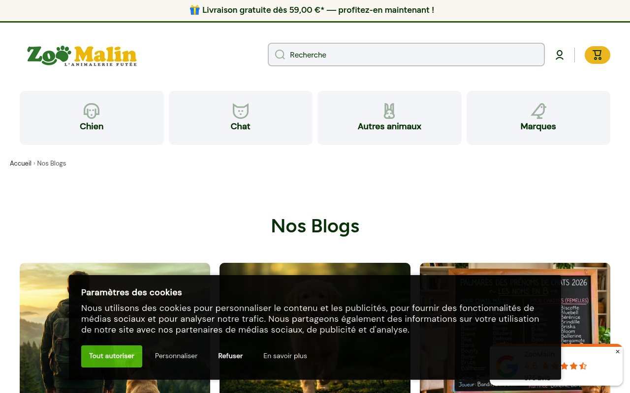 Apercu du site Zoomalin