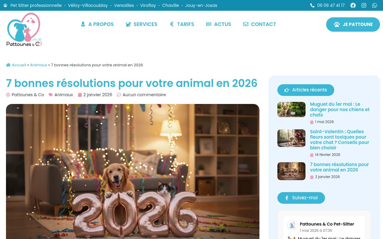 Apercu du site Pattounes & Co