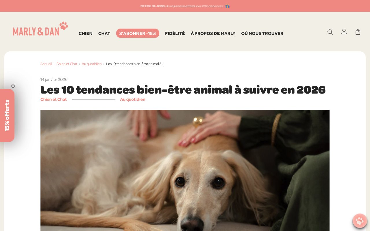 Apercu du site Marly & Dan
