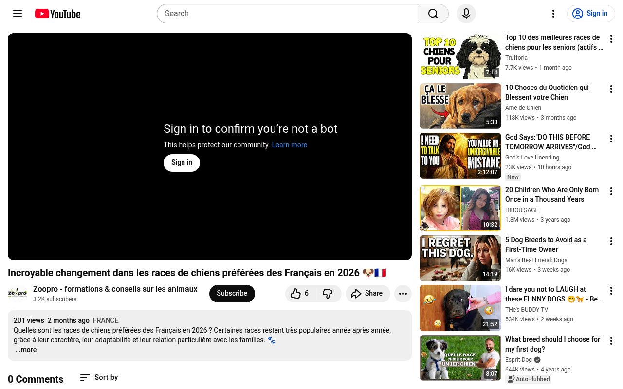 Apercu du site Youtube &ndash; Cha&icirc;ne d&eacute;di&eacute;e aux chiens pr&eacute;f&eacute;r&eacute;s des Fran&ccedil;ais ...