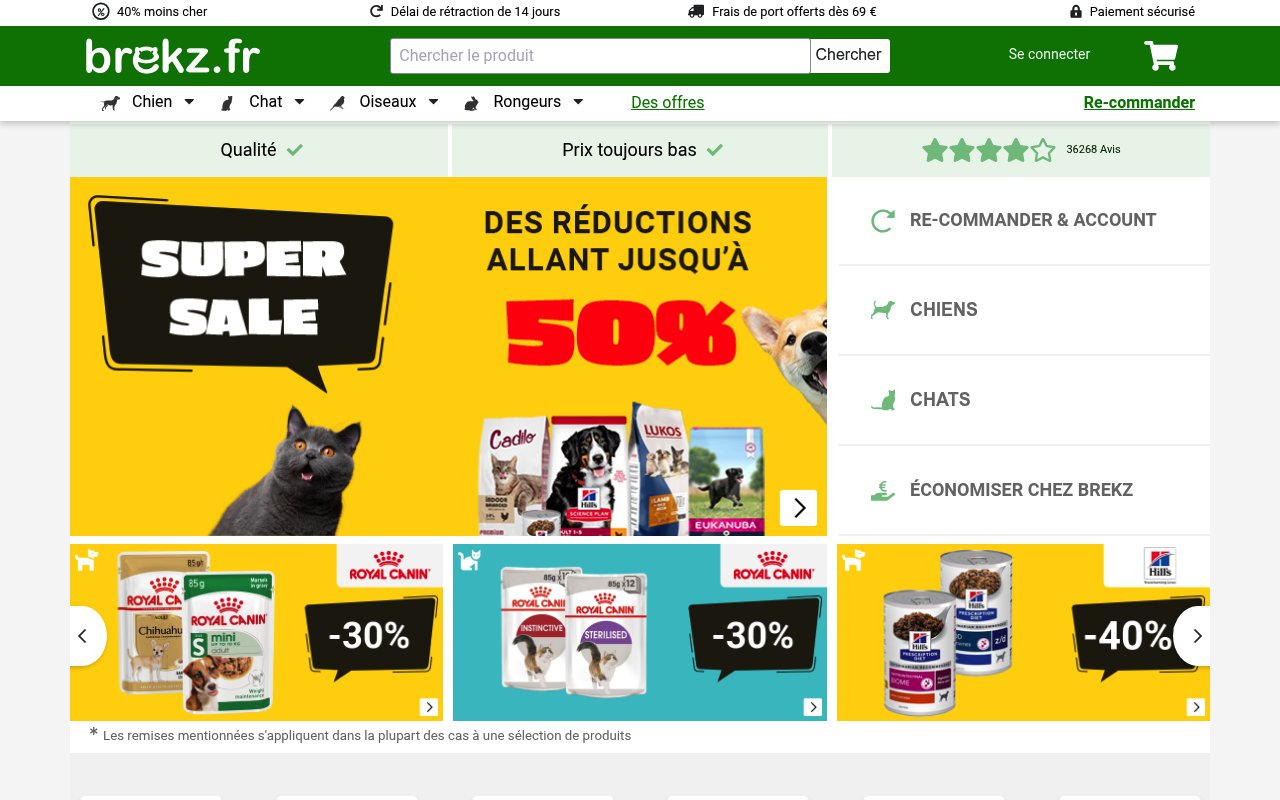 Apercu du site Brekz