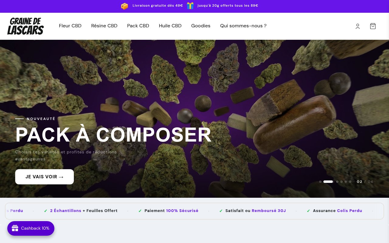 Apercu du site Graine de Lascars