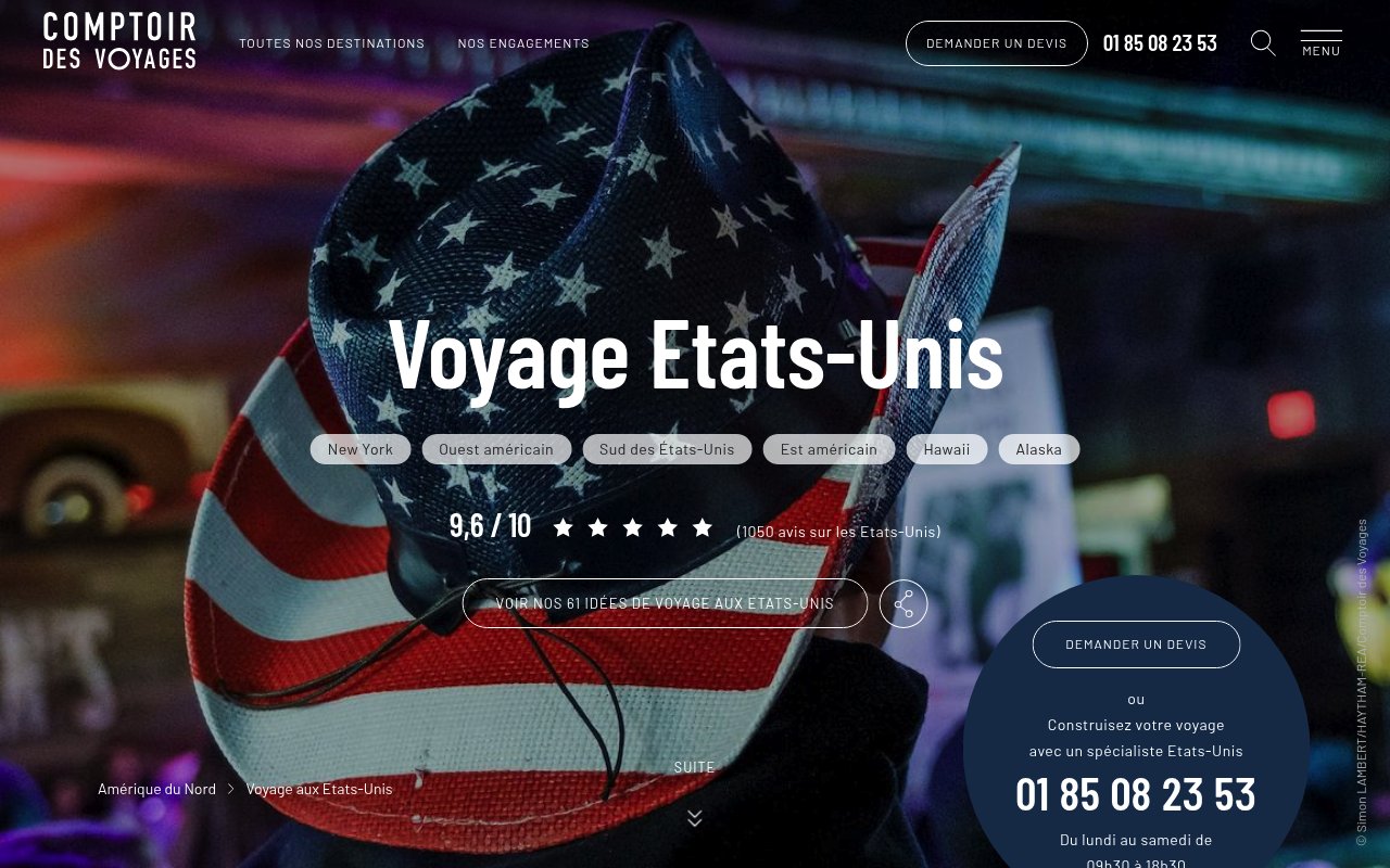 Apercu du site Comptoir des Voyages
