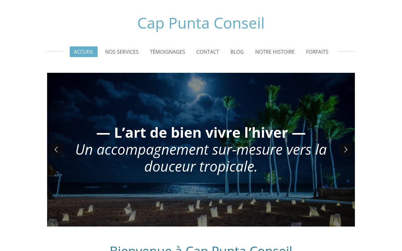 Apercu du site Cap Punta Conseil