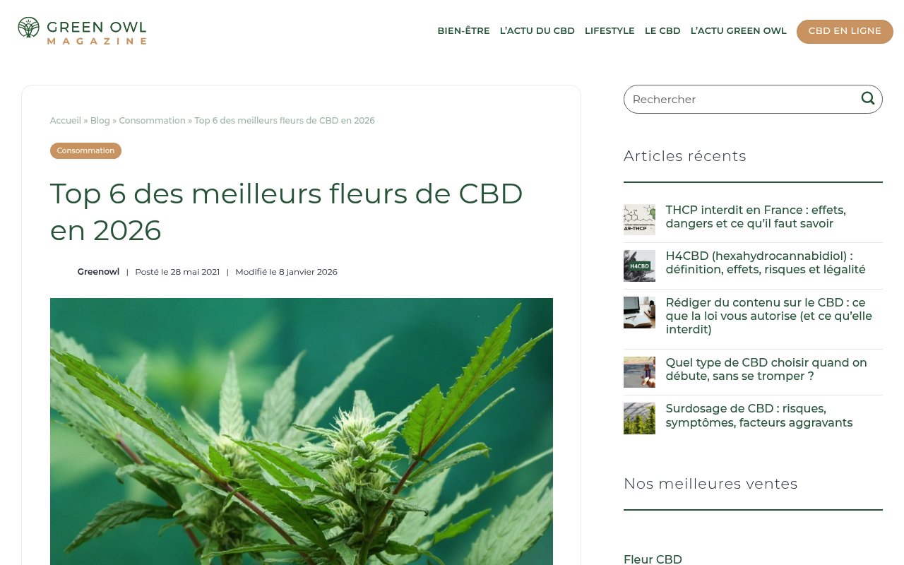 Apercu du site Greenowl