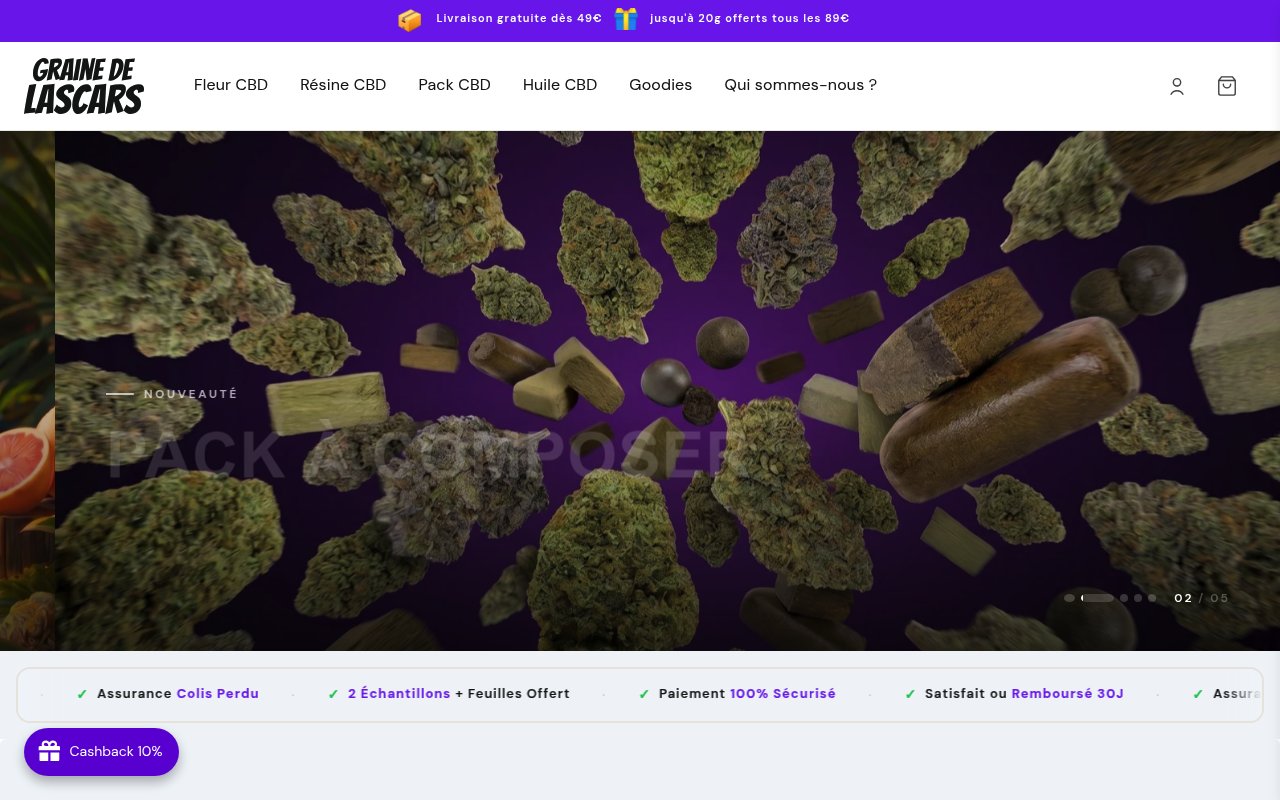 Apercu du site Graine de Lascars