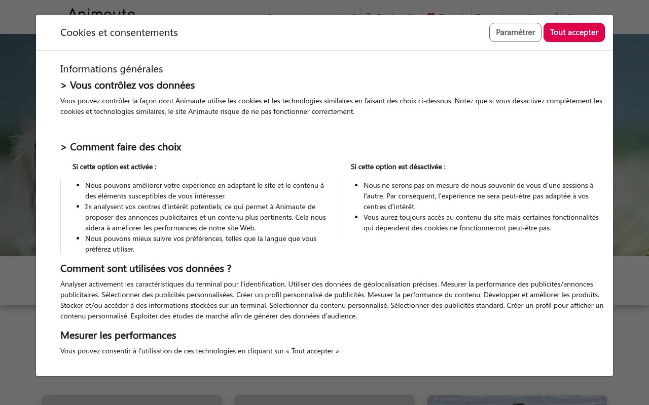 Apercu du site Petits services animaliers à Sartrouville