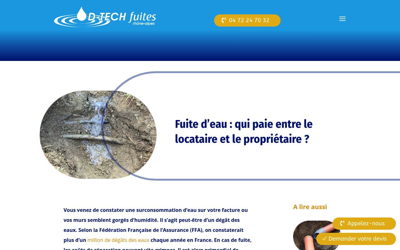 Aperçu du site D TECH FUITES