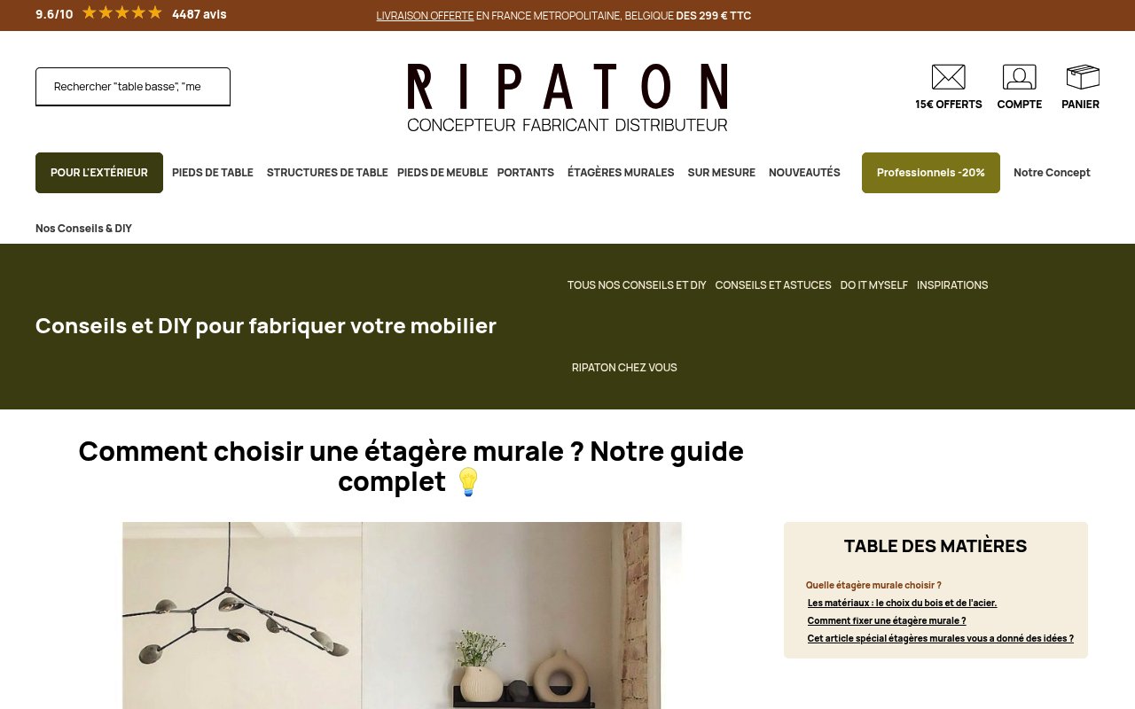 Apercu du site Ripaton