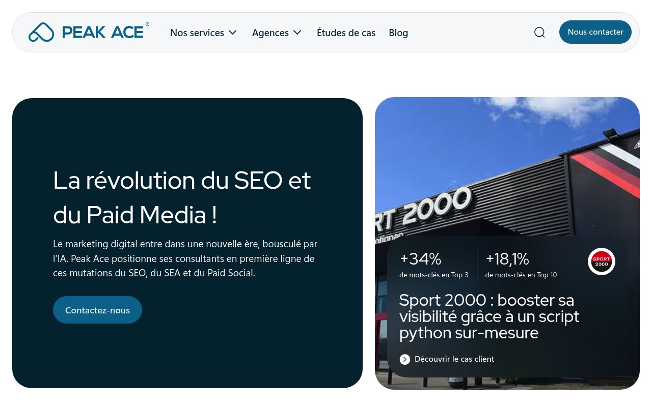 Apercu du site Search Foresight