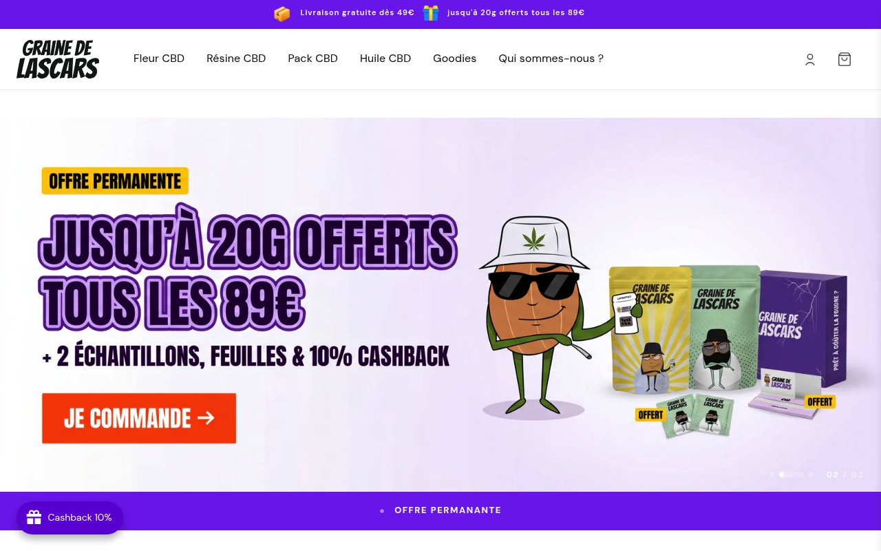 Apercu du site Graine de Lascars
