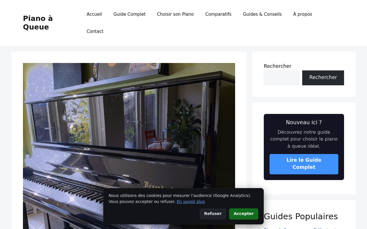 Apercu du site Piano à queue.com