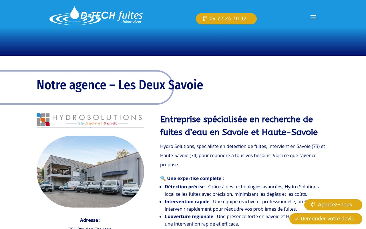 Apercu du site D Tech Fuites