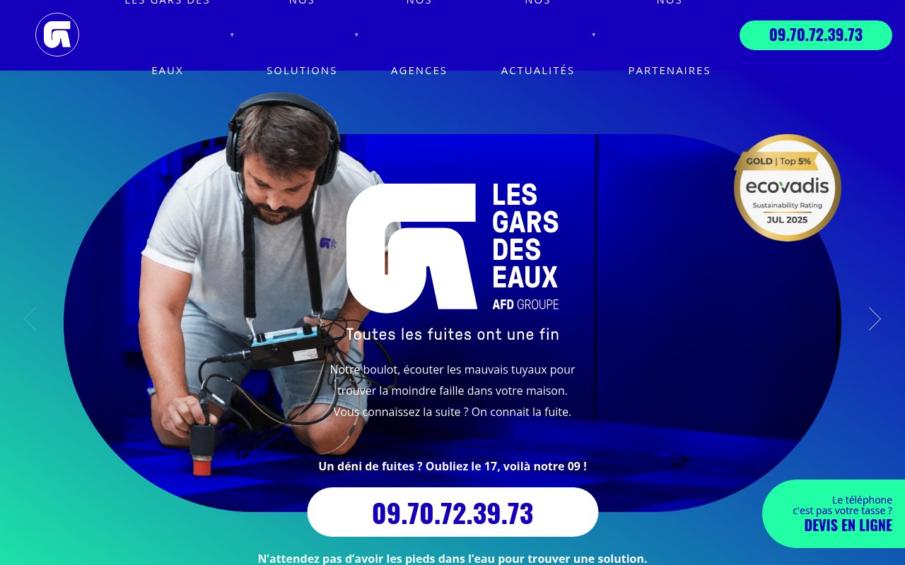 Apercu du site Les Gars des Eaux
