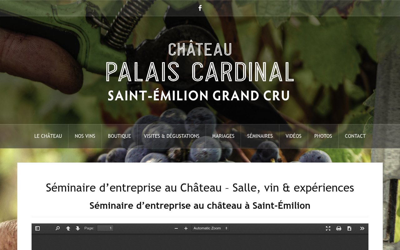 Apercu du site Château Palais Cardinal