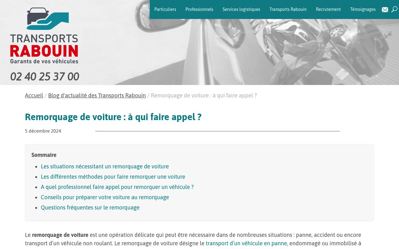Apercu du site Transports Rabouin