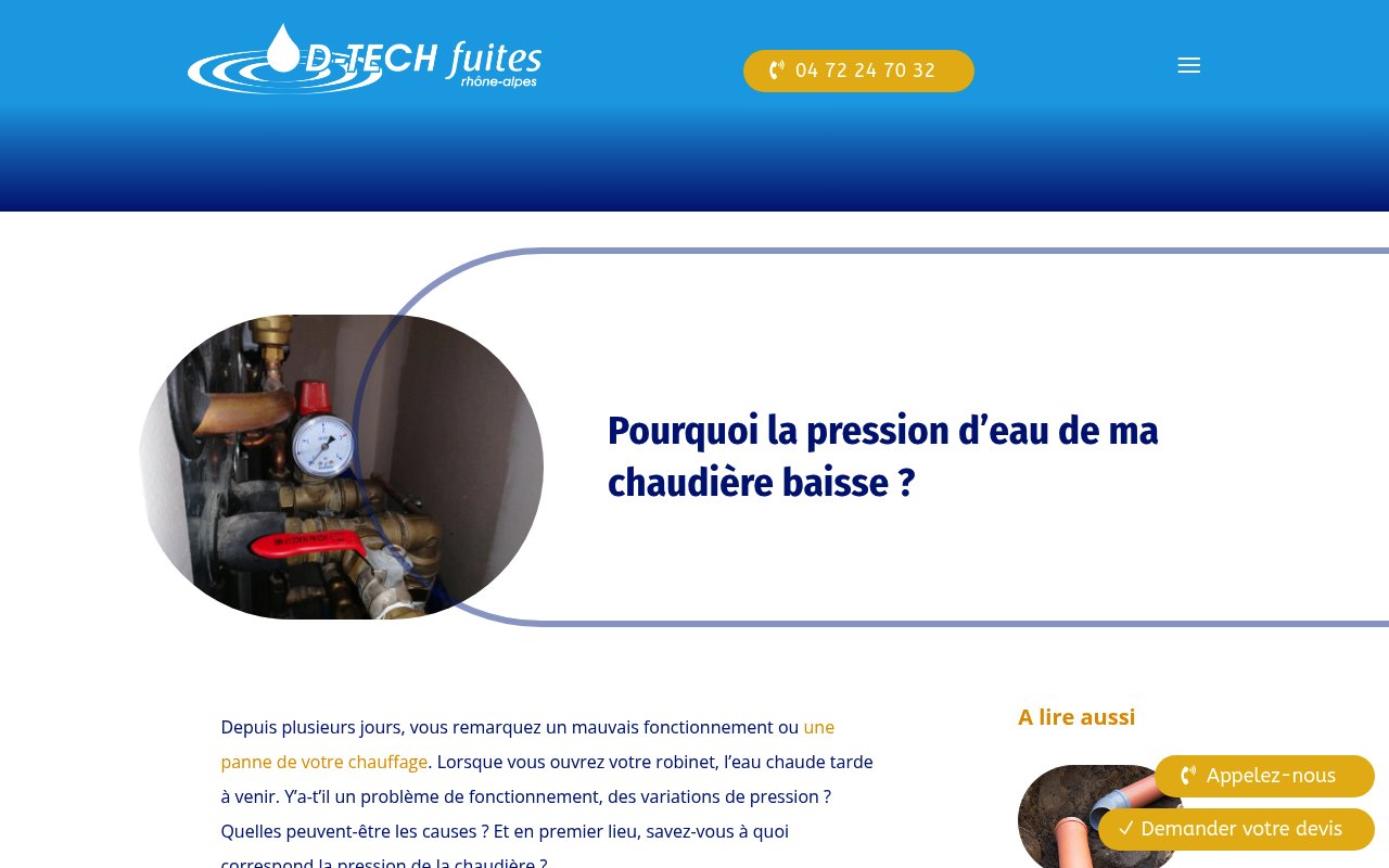 Apercu du site D TECH FUITES