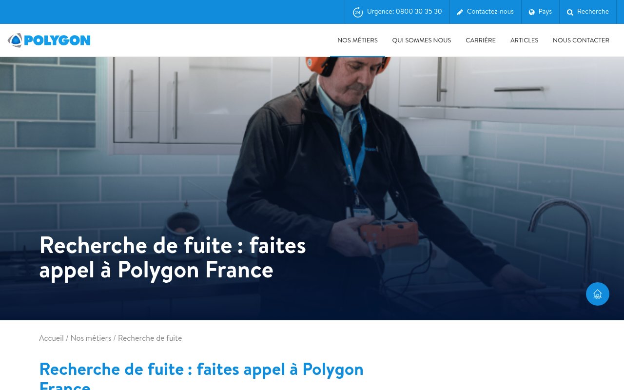 Apercu du site Polygon France