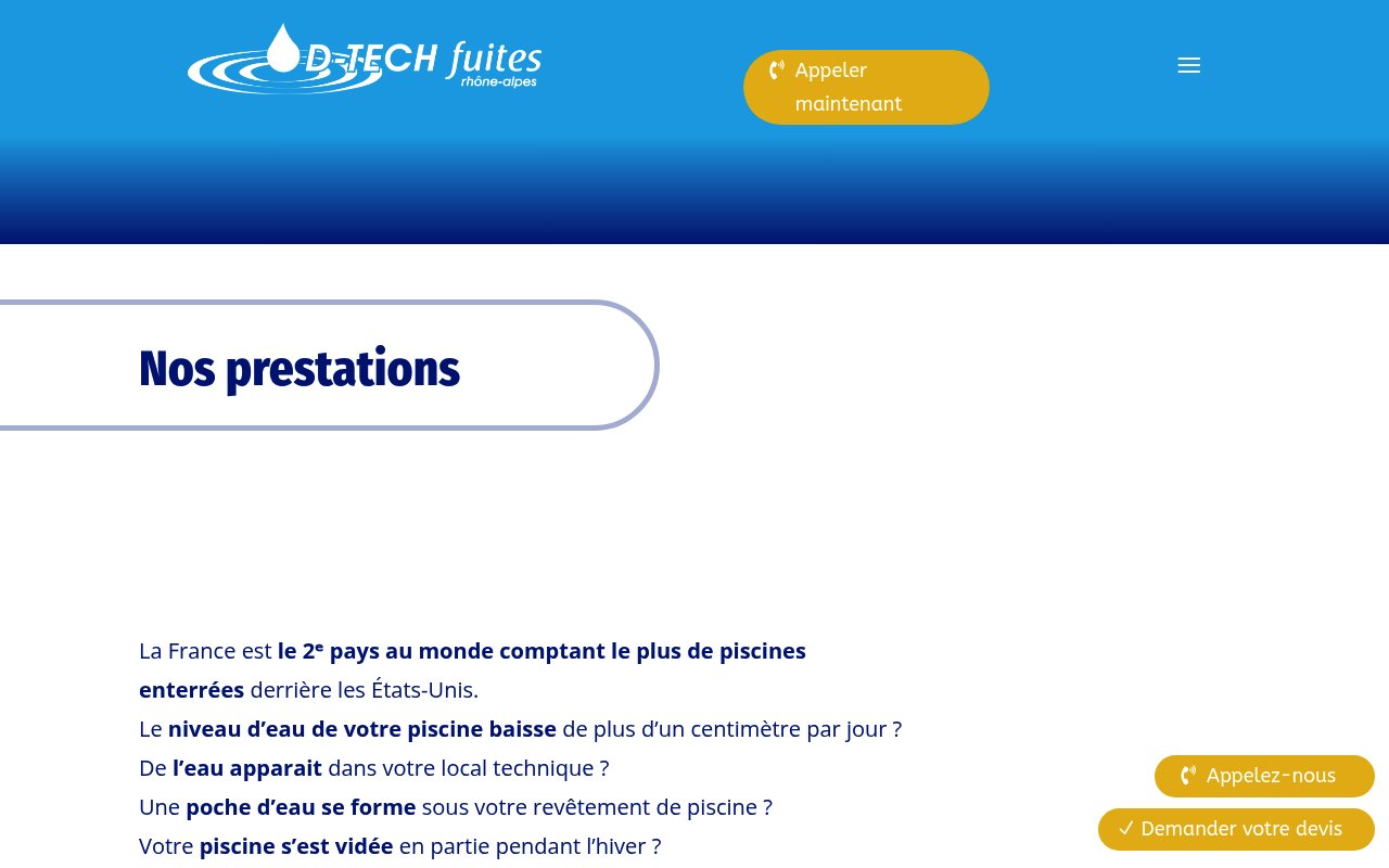 Apercu du site D Tech Fuites