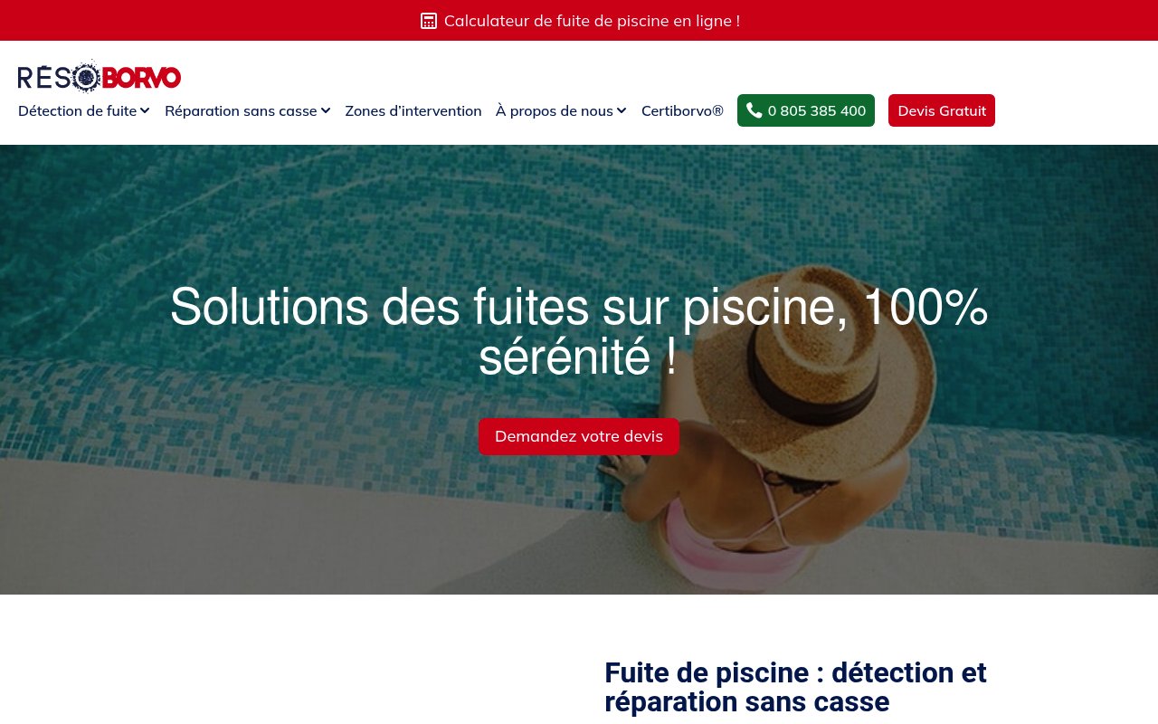 Apercu du site Résoborvo