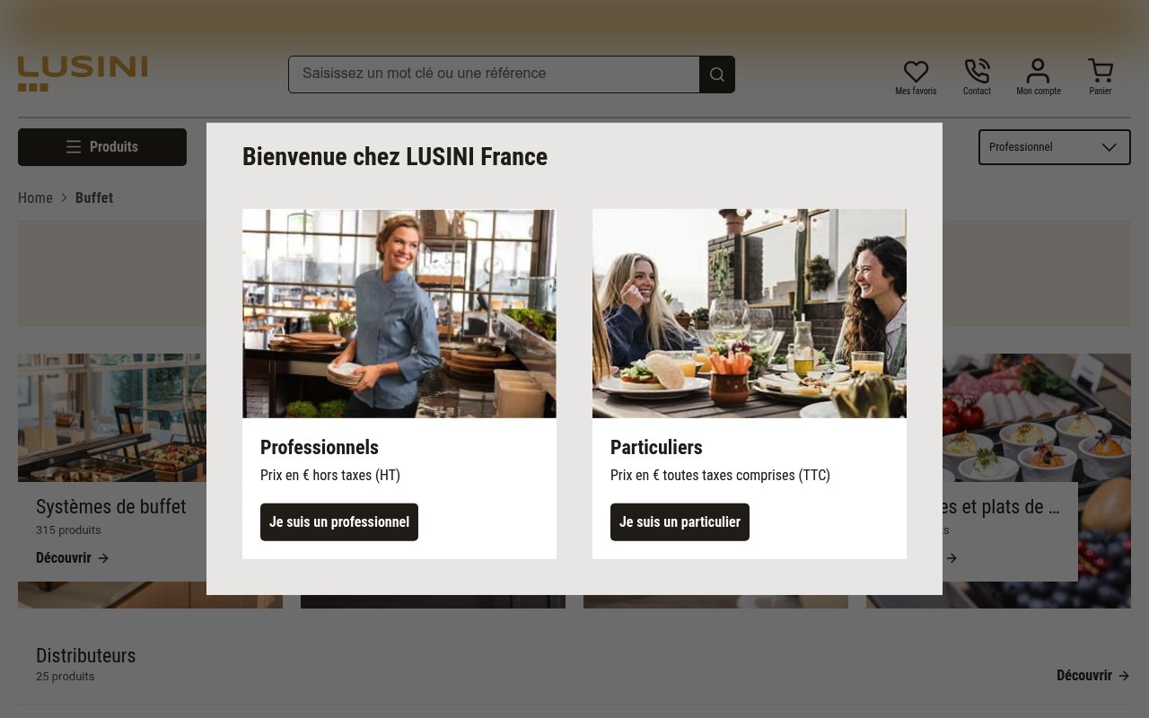 Apercu du site LUSINI